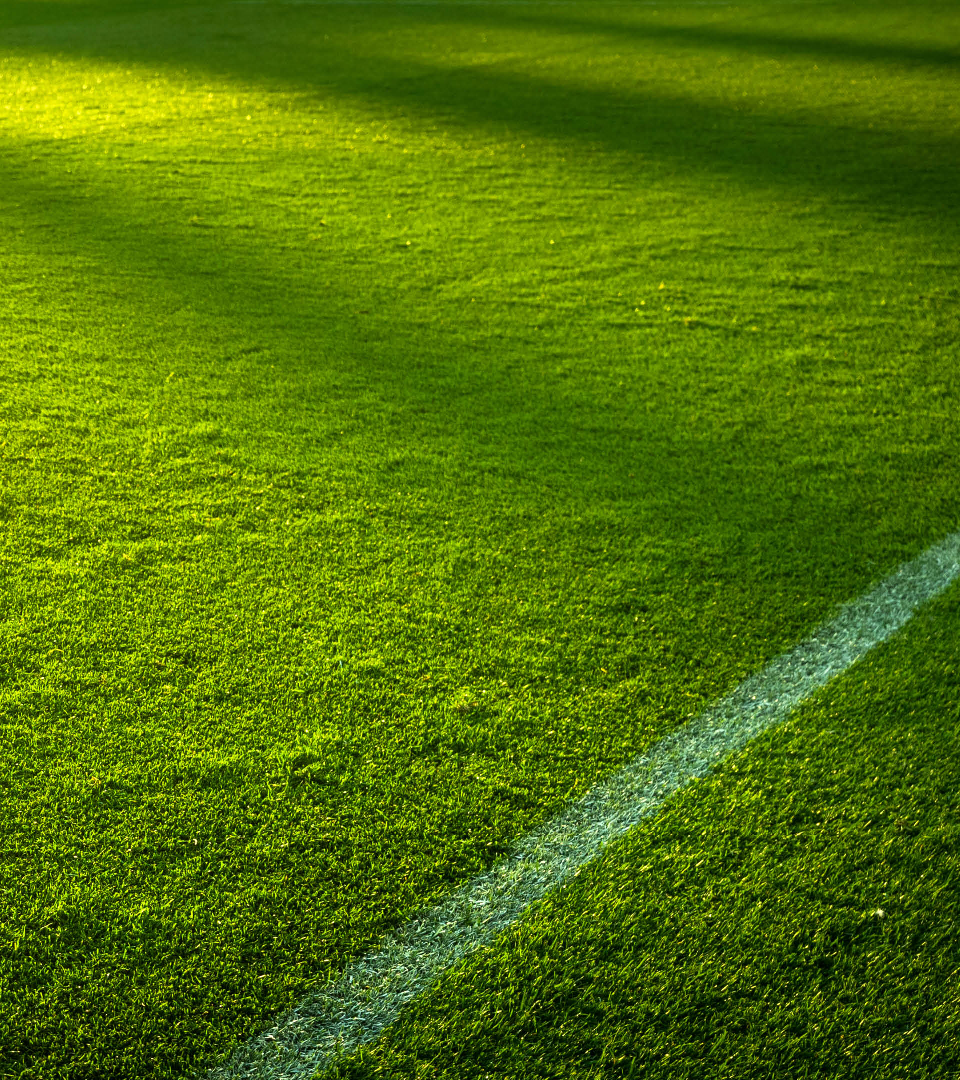 Side lines panorama of an empty green sports field before a game
