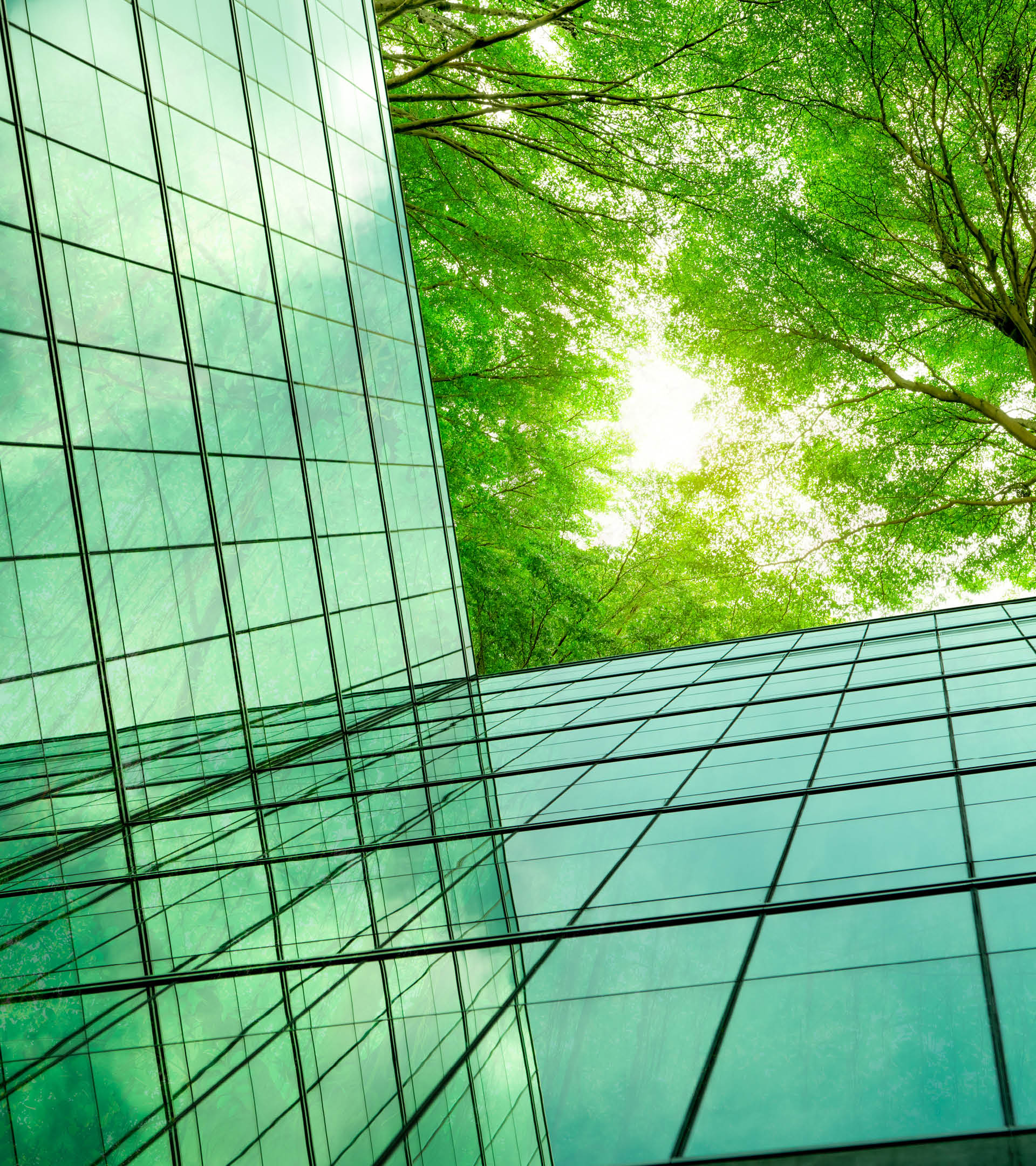 Eco-friendly building in the modern city. Green tree branches with leaves and sustainable glass building for reducing heat and carbon dioxide. Office building with green environment. Go green concept.