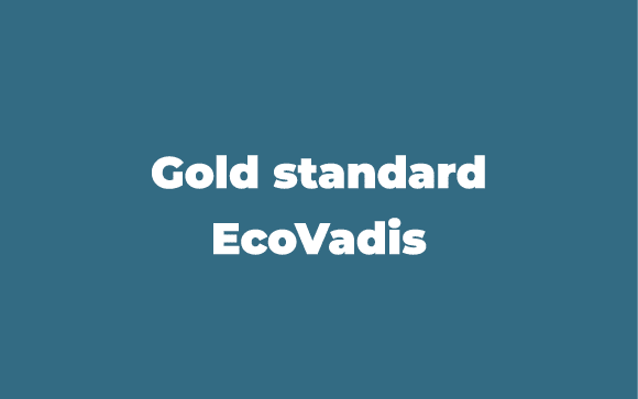 Gold standard EcoVadis