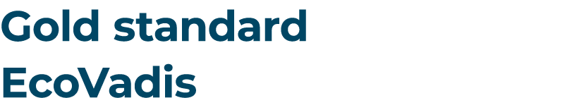 Gold standard EcoVadis