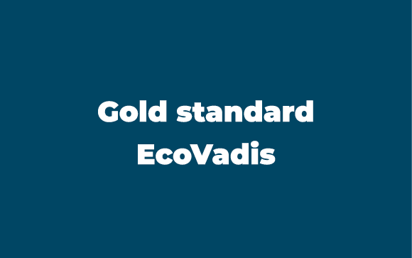 Gold standard EcoVadis