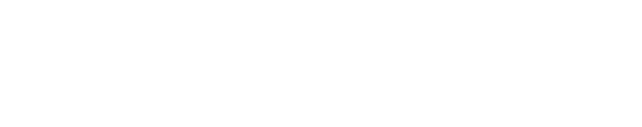 CEO's foreword 05 Celebrations 06 Valpak in numbers 07
